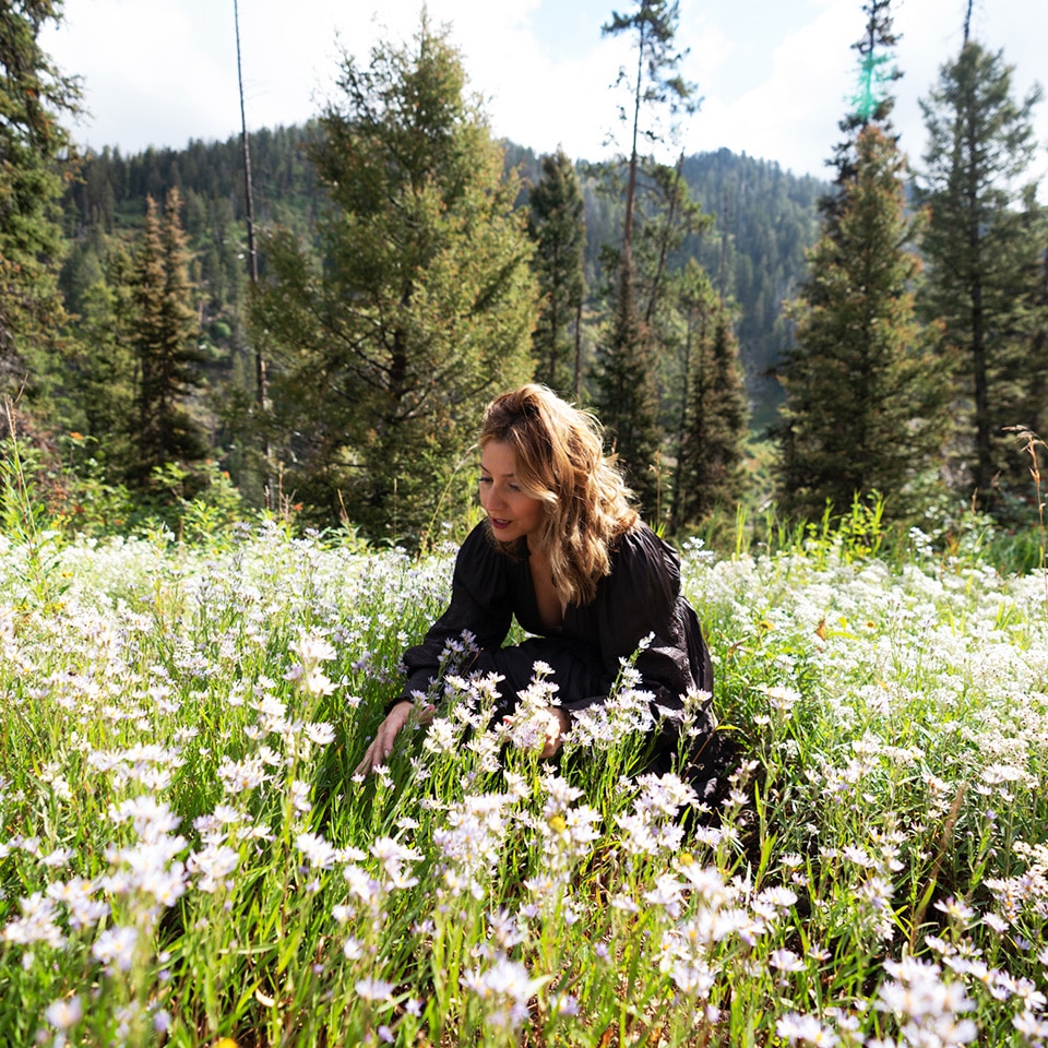 Regenerative Ingredient Sourcing